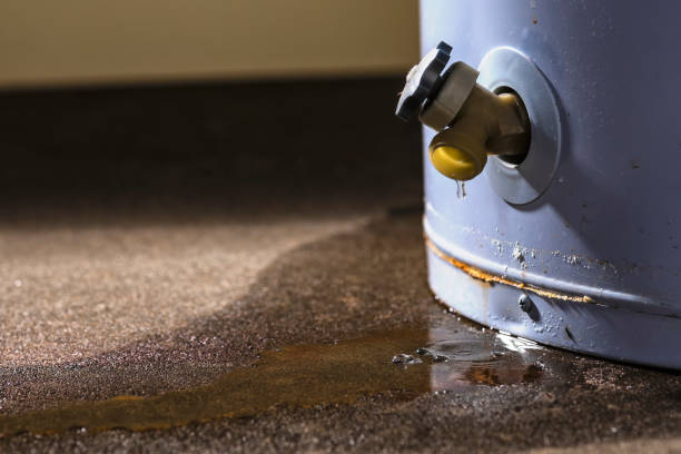 Best Water damage mitigation services  in Quartzsite, AZ