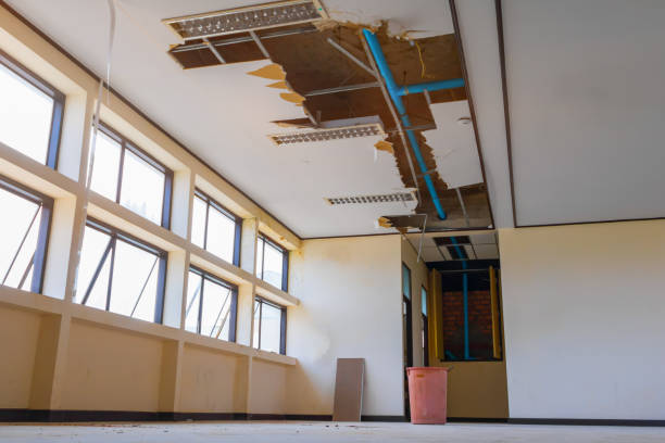 Best Water damage restoration experts  in Quartzsite, AZ