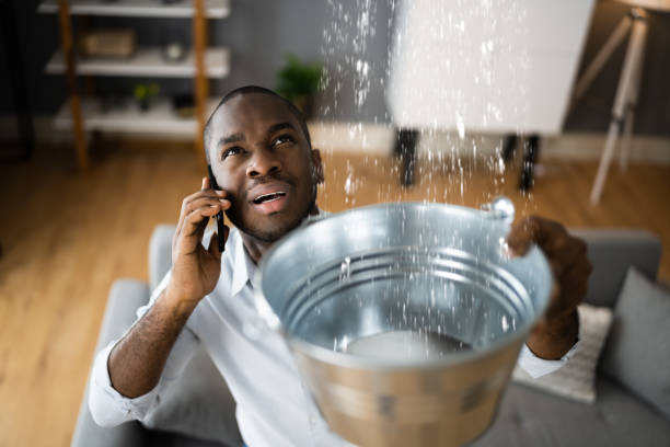 Best Mold removal after water damage  in Quartzsite, AZ