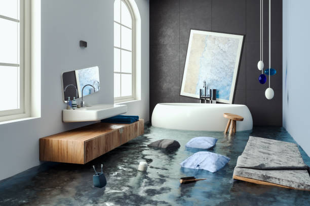 Best Professional water damage repair  in Quartzsite, AZ