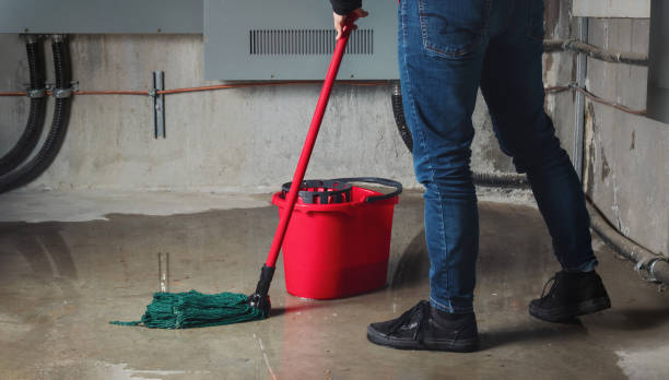 Best Water damage restoration near me  in Quartzsite, AZ