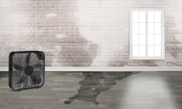Best Commercial water damage restoration  in Quartzsite, AZ