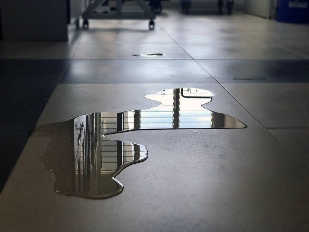 Best Emergency water damage restoration  in Quartzsite, AZ