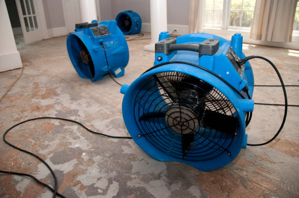 Best 24-hour water damage restoration  in Quartzsite, AZ