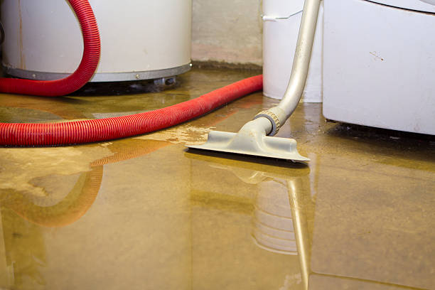 Best Emergency water damage restoration  in Quartzsite, AZ