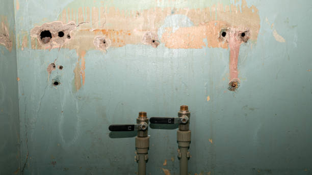 Best Professional water damage repair  in Quartzsite, AZ