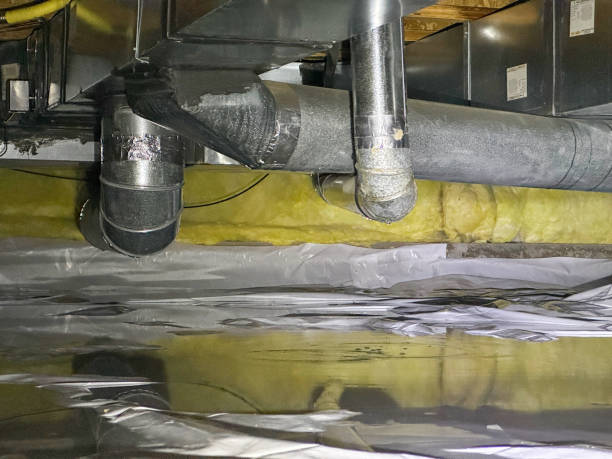 Best Residential water damage restoration  in Quartzsite, AZ