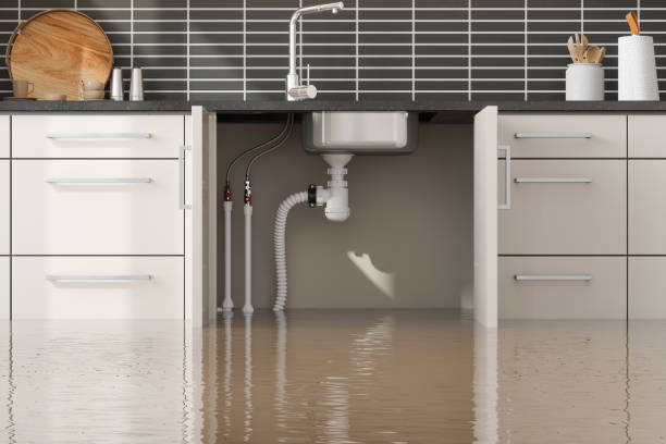 Best Flood damage cleanup  in Quartzsite, AZ