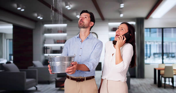 Best Water damage cleanup near me  in Quartzsite, AZ