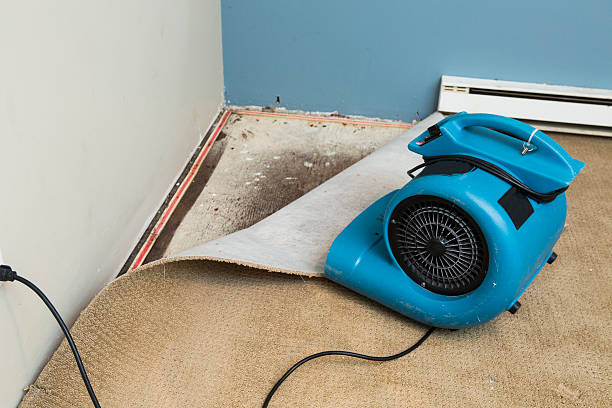 Best Ceiling water damage repair  in Quartzsite, AZ